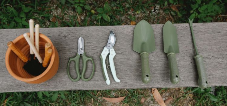 Best Garden Design Tools