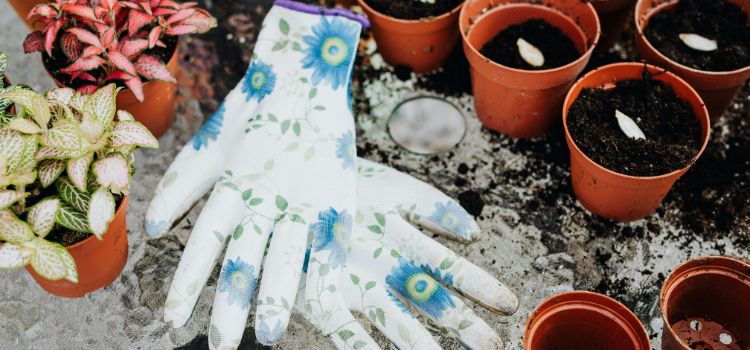 [Brand X] Small-sized Gardening Gloves - Embrace Comfort and Flexibility